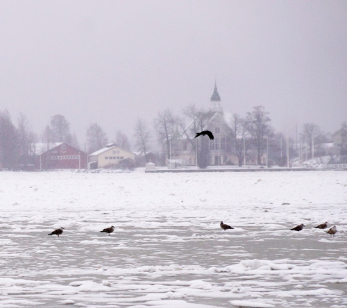 Porn photo SNOWY HELSINKI https://nobuetcerise.wordpress.com/2015/02/16/snowy-helsinki/