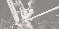 themasteroftheshield:  WWE MONEY IN THE BANK,