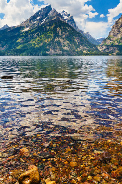 cold-fears:  Portrait of the landscape as an old lake by Anna Gorin on Flickr.