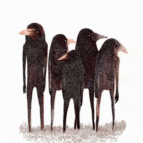 Lea Woodpecker aka Léa Le Pivert (French, b. Brittany, France) - Birds, 2011  Drawings: Ink, Waterco