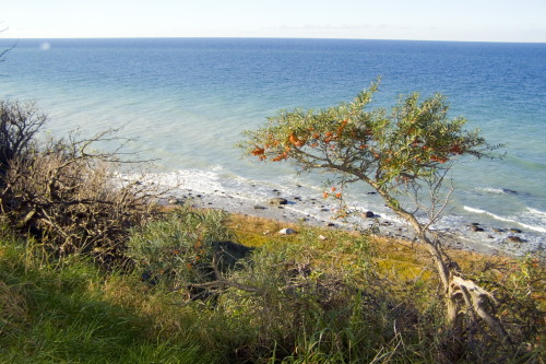 The ocean, Cape Arkona, Germany