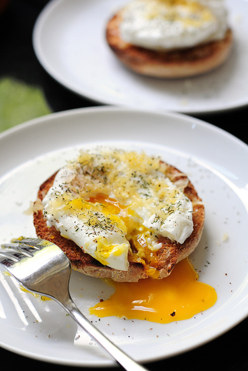 poachedeggporn:Hot poached egg and gouda getting up all over that toasted bagel.