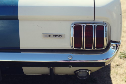 francescolt:   G.T.  350