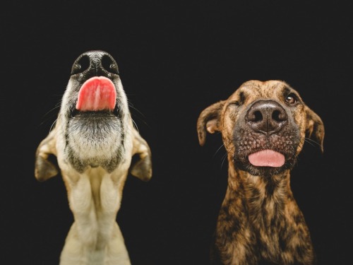 Porn Pics gravitationalbeauty:  By Elke Vogelsang