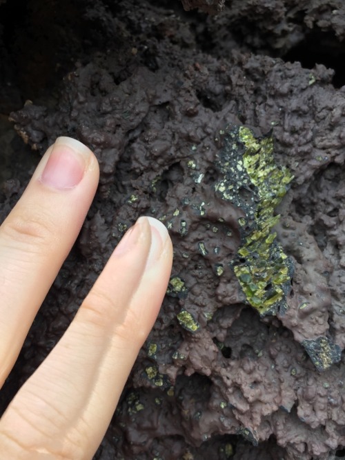 zeenix:Came across this massive picrite boulder while hiking. It had incredible phenocrysts of Olivi