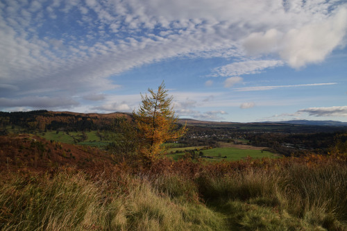 Dunmore Pictish Hillfort, CallanderThis easily-accessible Iron Age-style hillfort is located in the 