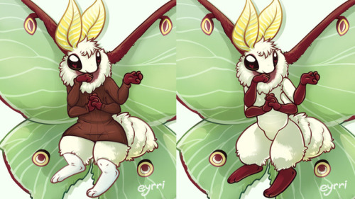 eyrri: lil crop of a recent commission of a darling little luna moth character (+ a lil sweater!!)pl