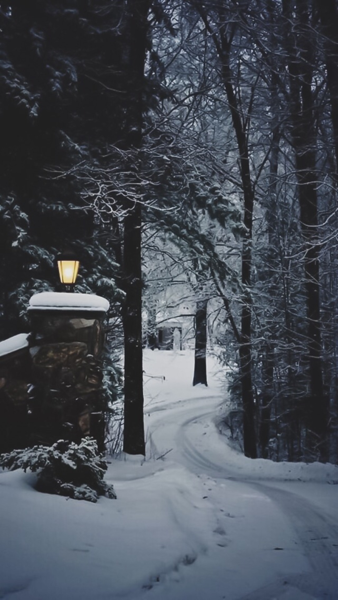 Christmas / Winter backgrounds &#8226; like if you save/use -A ...