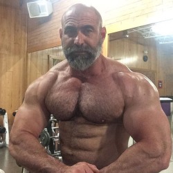 pastel86:  myfavoritemusclemen:  https://myfavoritemusclemen.tumblr.com/archive  mmm.grizzly.ID? 