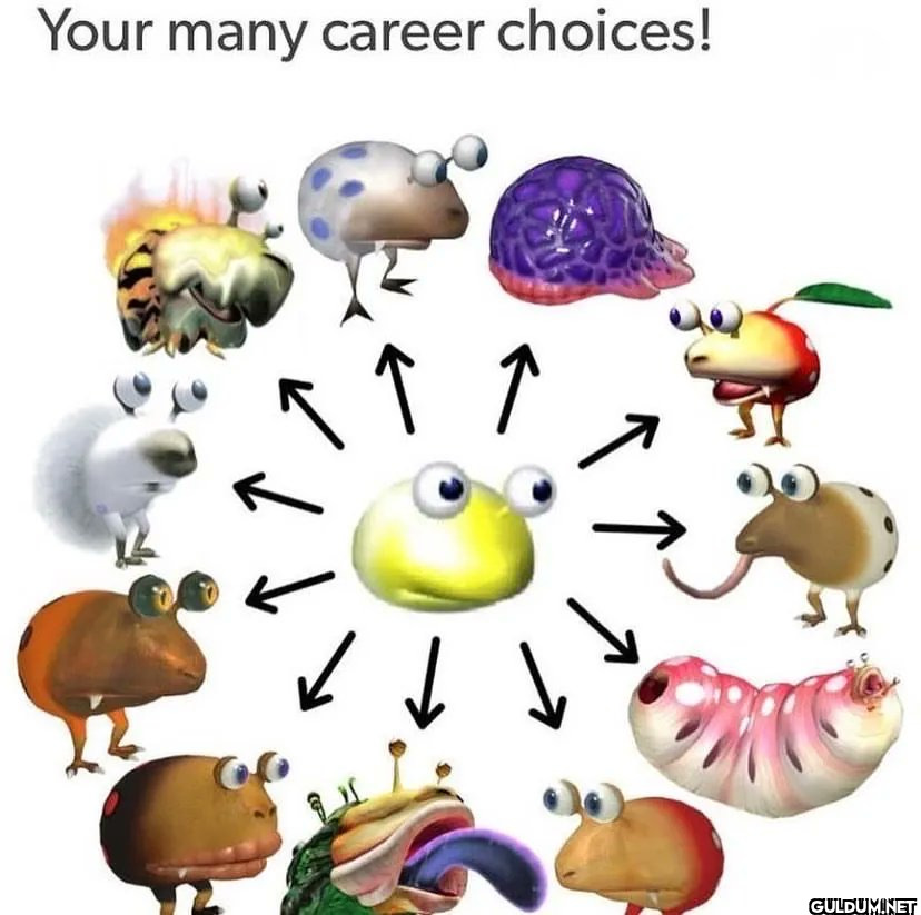 Your many career choices!...