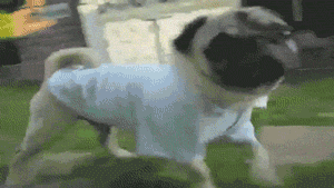 ginahattaway115:  only——gifs:  Gif 1610