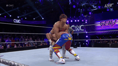 A Luchadork