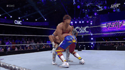 A Luchadork