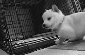 genjoshi:  Photo http://ift.tt/1U6EJj8