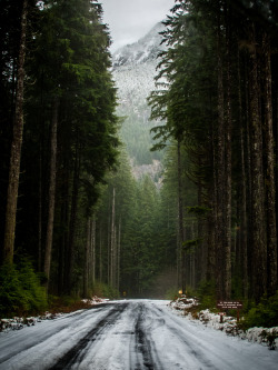 brutalgeneration:  NW Path (by Life: In Motion)