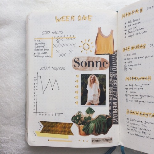 BEST OF BUJO