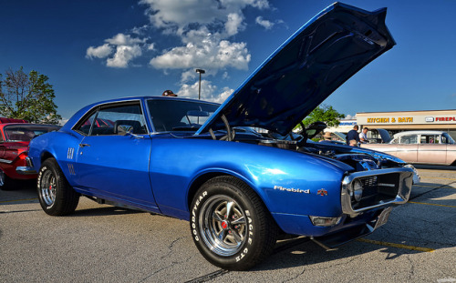 chadscapture:  1968 Pontiac Firebird on Flickr.