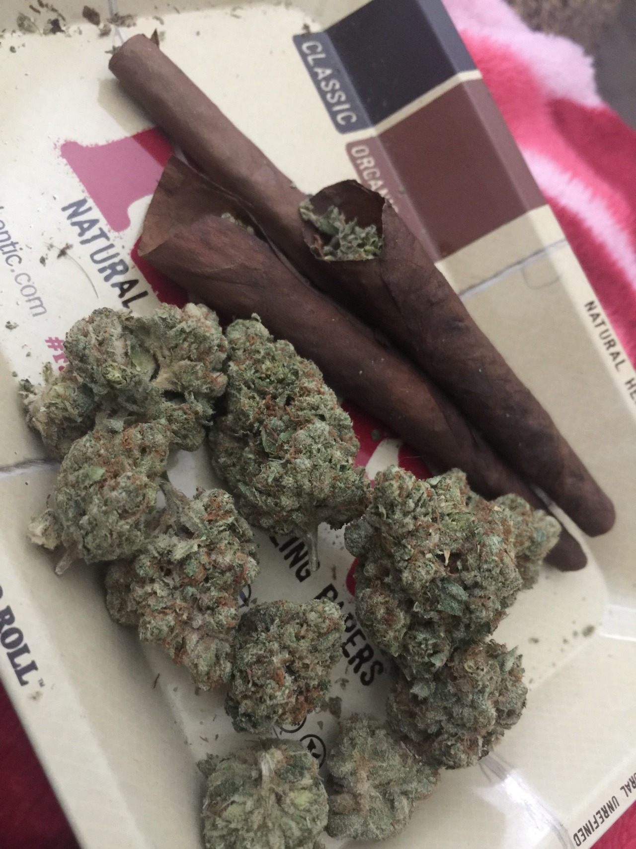fuckbrandon:swisher or backwoods ??