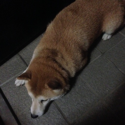 oage:  ふう…