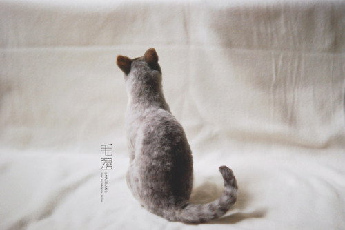 ▋ Siamese Tabby ( custom-made )Sculpture approximately 11 x 15 x 21 cm ( not including the tail )