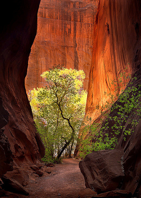 The Glowing Defile by Michael Anderson by AndersonImages on Flickr.