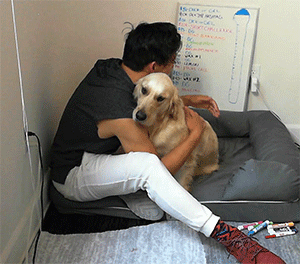 dogiplier:  SUCH A GOOD GIRL