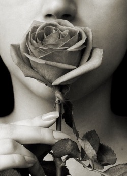 Even a white rose has a black shadow...