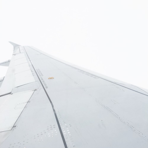 taeskai: flying | ig 95cm