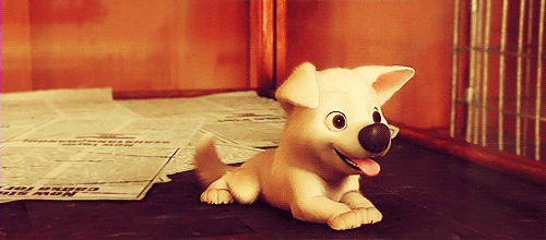 shinypigeon:  bolt ♥