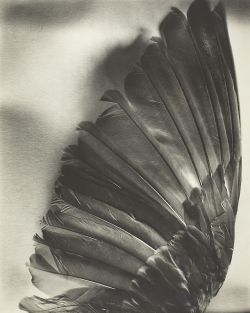 fragrantblossoms:  Berenice Abbott.  The