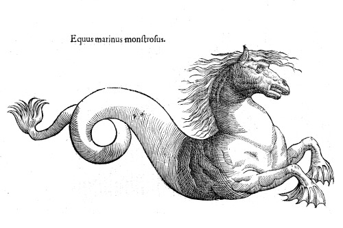 Vlyssis Aldrouandi patricii Bononiensis Monstrorum historia, 1642