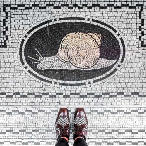 Sebastian Erras - L'Escargot