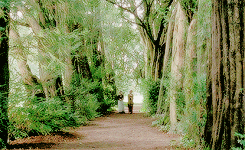 weloveperioddrama:northanger abbey (2007) + scenery(requested by tirairgid)