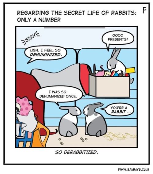 *snort* . . #rabbits #bunny #bunnies #houserabbits #rabbitsofinsta #bunnylove #bunniesofinsta #rabbi