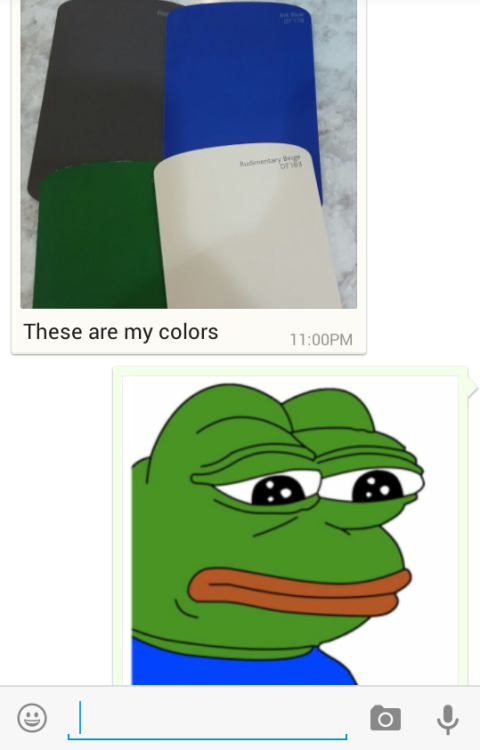 prostitourettes:my bf sent me the color scheme for his apartment