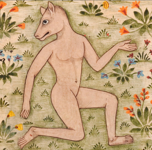 endlessregression: kardiologn: Farah’s Encyclopedia of Nature, Yazdī, al-Muṭahhar ibn Muḥammad