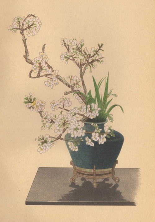 From Selected Flower Arrangements of the Ohara School, arranged by Koun Ohara, explained by K. Nakah