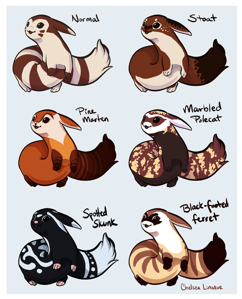 chelsealinaeve:  shamelessly leaps aboard this bandwagonsmall mustelid-inspired furret variations! furret is my favorite pokemon ever, let me tell you how much I love this giant wiggly tube child