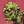 blue-eyed-country-angel:necro69mancer:Cool