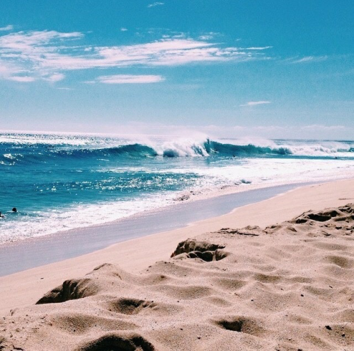 summer bliss