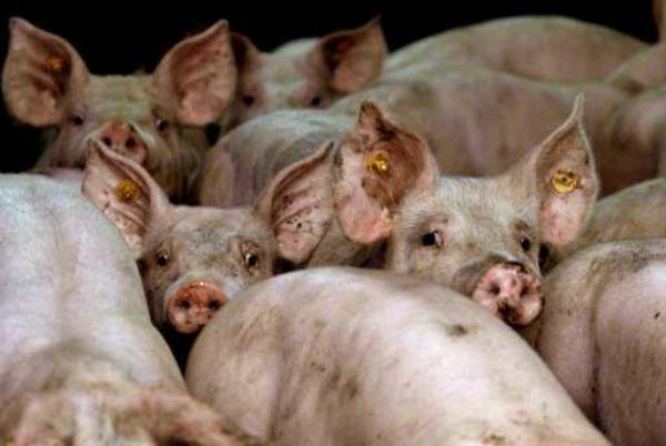 amymylove:  &ldquo;We can’t plead ignorance, only indifference. Those alive