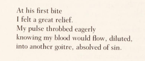 Nina Cassian, ‘The Young Bat’ (trans. Christopher Hewitt), Life Sentence: Selected Poems