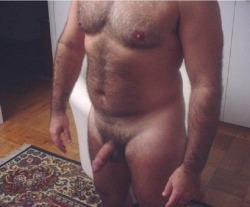 unitedbears:  FOLLOW: UNITED BEARSBEARS |