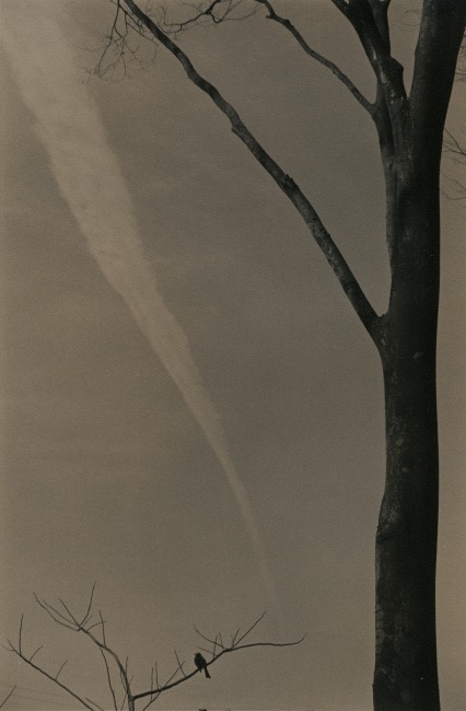 magpiemouse:  Yamamoto Masao 