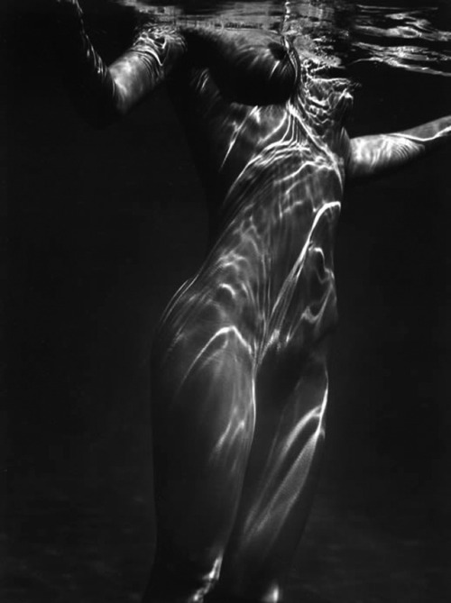 by Brett Weston