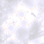 s01illlr