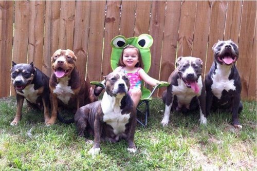 callmekitto:  genderoftheday:  Today’s Gender of the day is: Tough Warrior Dogs