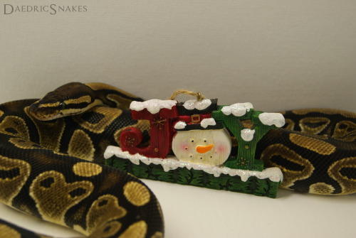 daedricsnakes: Sithis and Vaermina would like to wish everyone Happy Snolidays! 