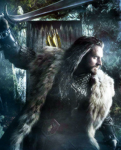 thorinds:  Official tapestry for The Hobbit: The Desolation of Smaug (X) 