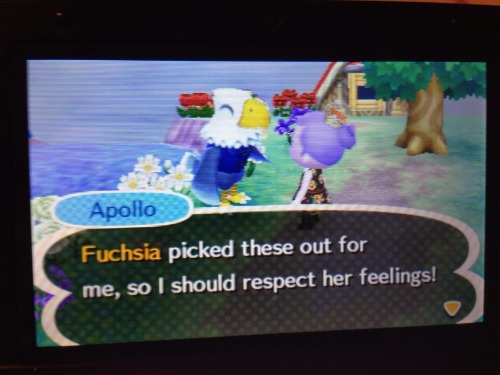 sorry for the bad quality photos, i just take pictures from my phone lmao ANYWAY Fuchsia gave Apollo